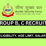 BSF recruitment 2024 of group B and C posts