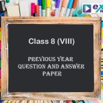 class 8 annual question paper 2019