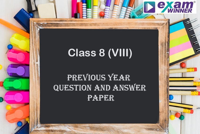 Latest class 8 annual question paper 2019 with answers