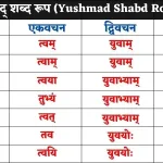 yushmad shabd roop