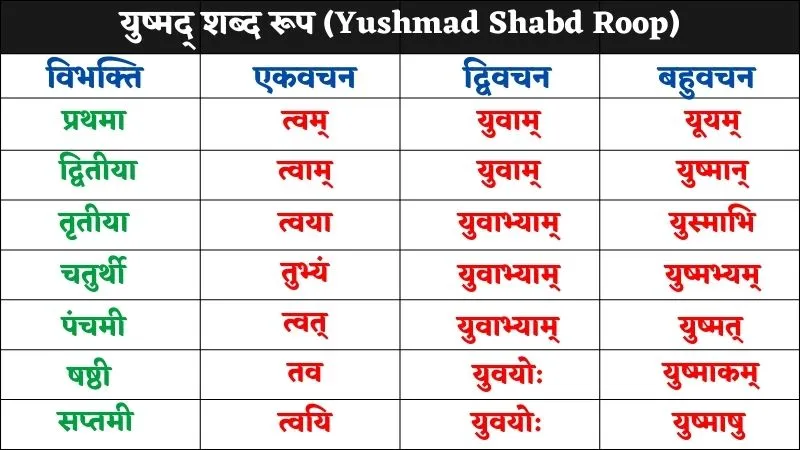 Yushmad Shabd Roop in Sanskrit