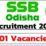 SSB Non Teaching Staff Recruitment 2024 - Apply Online