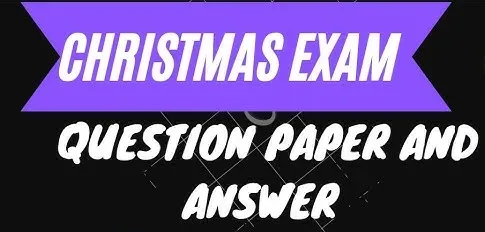 Download Christmas Exam Question Paper 2019