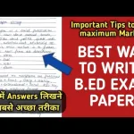 b ed last 5 years question paper punjabi university