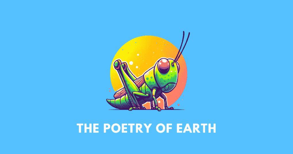 The Poetry Of Earth Question Answers