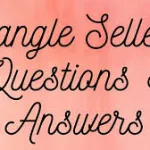 The Bangle Sellers Questions And Answers