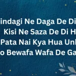 Hindi Shero Shayari In English