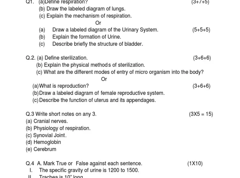 10 years question paper of gnm 1st year pdf