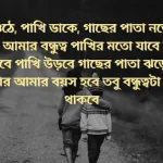 Best Friend Shayari Bengali