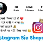 Best bio for Instagram Shayari page in Hindi