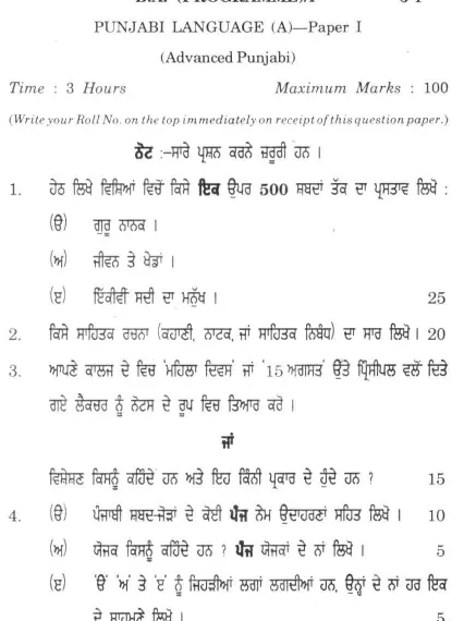 punjabi university previous year question papers