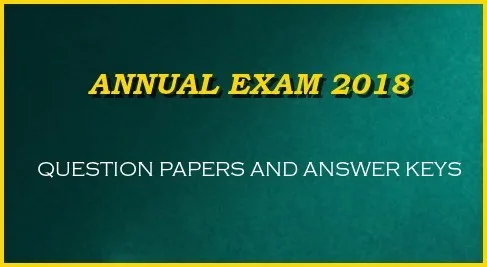 2018 annual exam question paper with answers