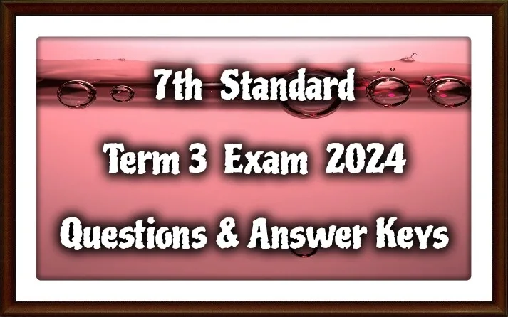 7th 3rd Term Question Paper with Answers