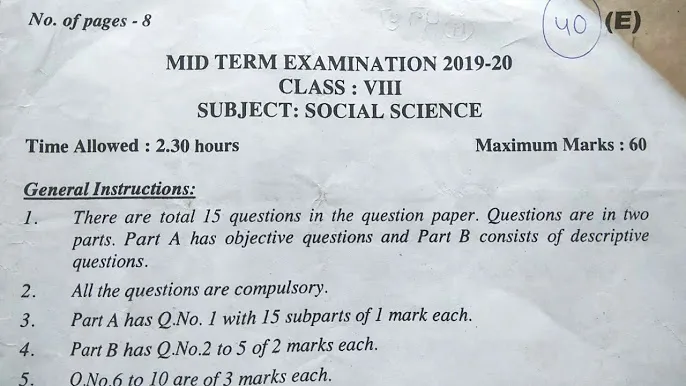 8 Question Paper 2019 – Questions & Answers