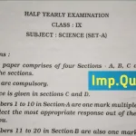 9th Half Yearly Question Paper 2019 Social Science