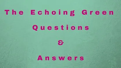 The Echoing Green Question Answers Explained