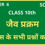 Class 10 Science Chapter 6 Questions and Answers