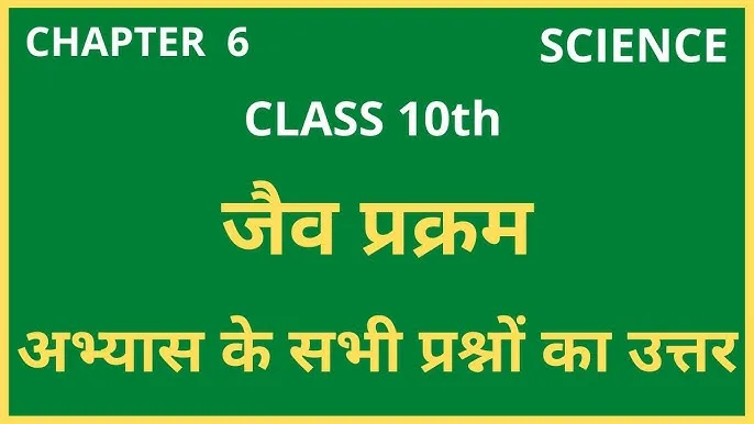 Class 10 Science Chapter 6 Questions and Answers